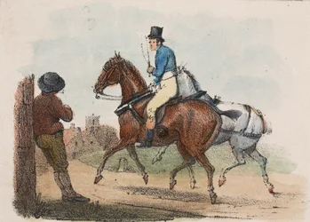 A Horse Rider